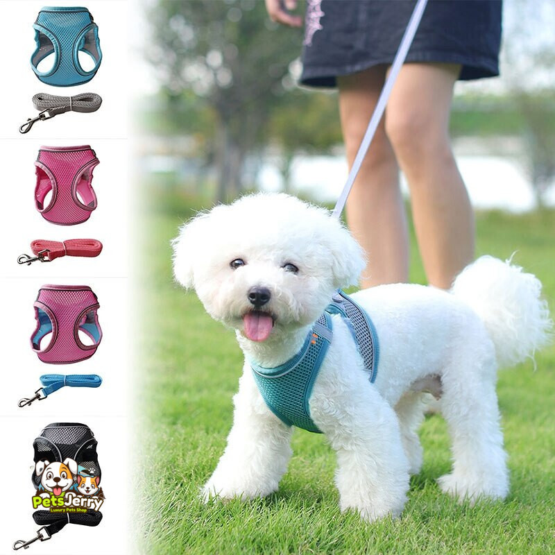 Breathable Adjustable Dog Harness for Dogs | Outdoor Dog Harness