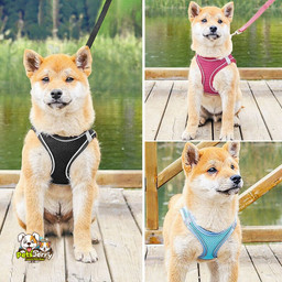 Breathable Adjustable Dog Harness for Dogs | Outdoor Dog Harness