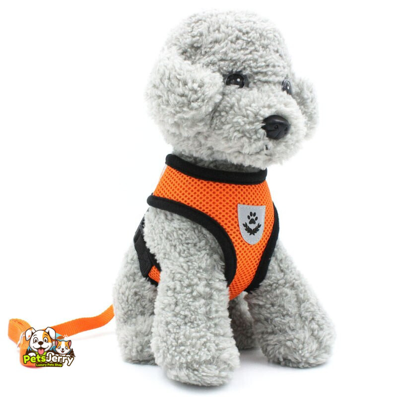 Best No-Pull Dog Harnesses for Dogs | Puppy Training Harness