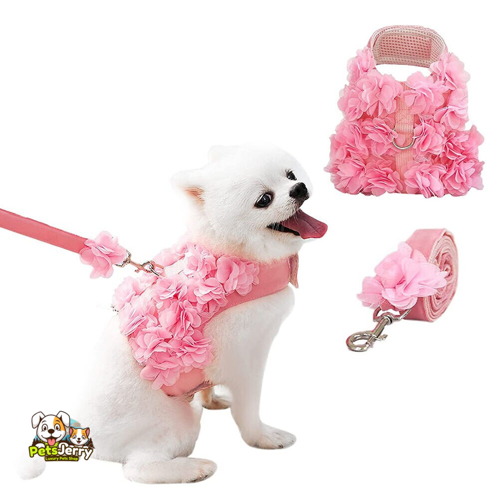 Small Dogs Leash and Harness for Girls Dog Flower