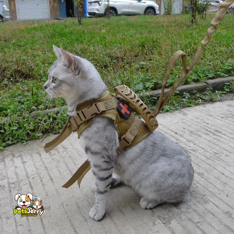 Cat Small Dog Collar Harness