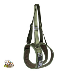 Adjustable Dog Collar Harness | Secure & Comfortable | Perfect for All Breeds