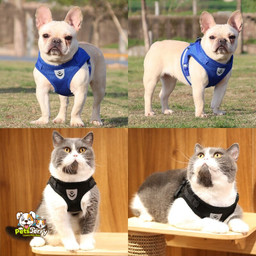 Pet Collar Harness Vest For Small Dogs Teddy Chihuahua Leash Puppy