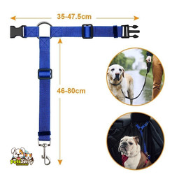 Dog Car Safety Harness & Leash | Keep Your Pet Safe & Secure on the Go