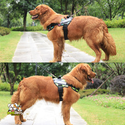 Harness Personalized Harness For Dogs