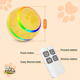 Remote Control Dog Balls | Interactive Toys for Dogs | Dog Entertained