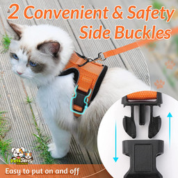 Cat Harness and Leash for Walking | Cat Walking Safety - PetsJerry