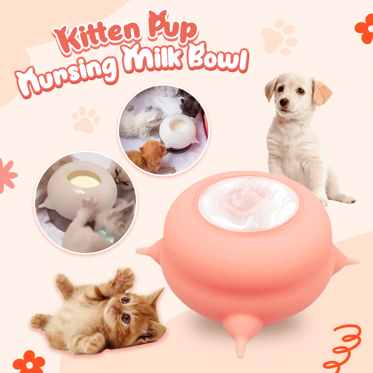 Kitten Pup Nursing Milk Bowl | Nursing Milk Bowl for Pets, Cat & Dogs - PetsJerry