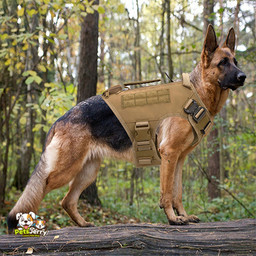TACTICAL DOG HARNESS | Durable Dog Harness - PetsJerry