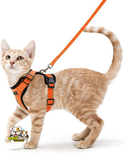 Cat Harness and Leash for Walking | Cat Walking Safety - PetsJerry