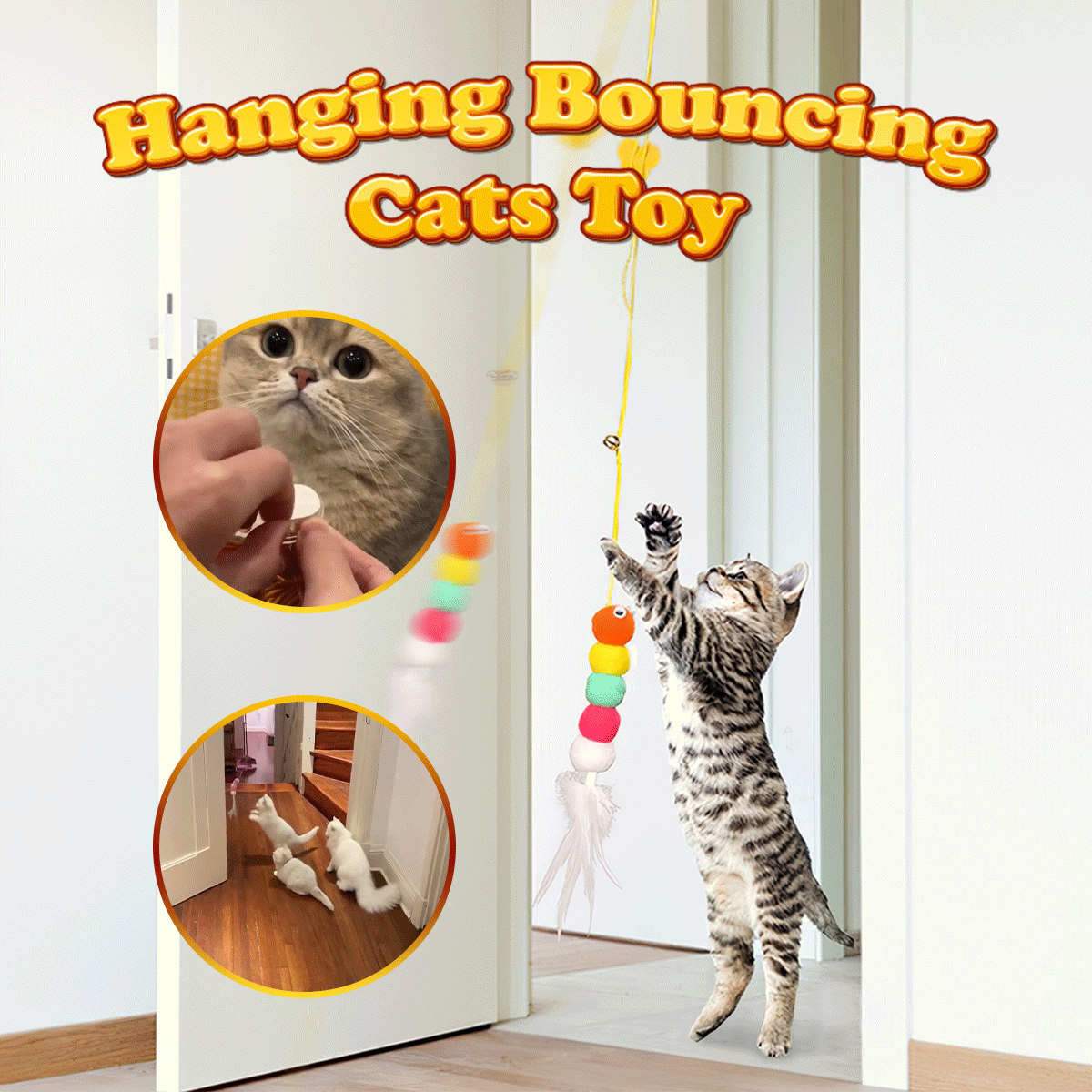 Hanging Bouncing Cats Toy | cat bouncing toy | Pets Jerry