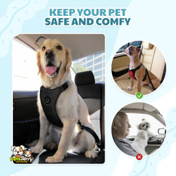 Breathable Mesh Dog Harness & Leash With Seatbelt