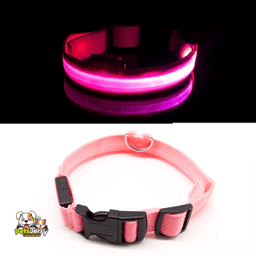 USB Charging/Battery LED Anti-Lost Collar for Dogs | dog safety collar | pet collar with light | PetsJerry
