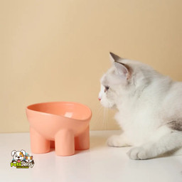 dog food bowl, elevated cat bowl, slow feeder, anti-slip bowl, macaron color, pet supplies