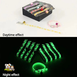 Best glow collar for pets. Adjustable glow collar for dogs and cats with safety ring and bell. Rechargeable glow collar with reflective strip. LED pet collar for night walks.