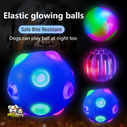 Happy dog playing with an LED glowing ball pet toy.