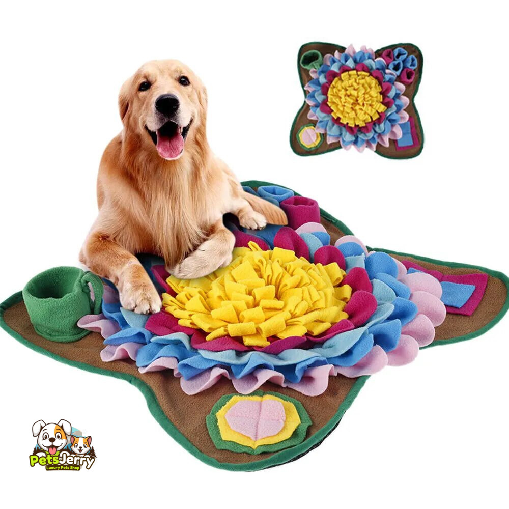 Dog sniffing mat with hidden treats, dog using nose to find treats in snuffle mat