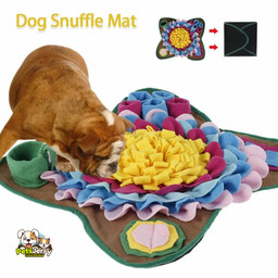 Dog sniffing mat with hidden treats, dog using nose to find treats in snuffle mat