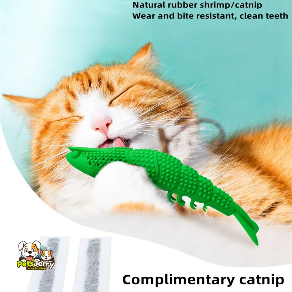 Cat chewing on a fish-shaped toothbrush toy with soft bristles.