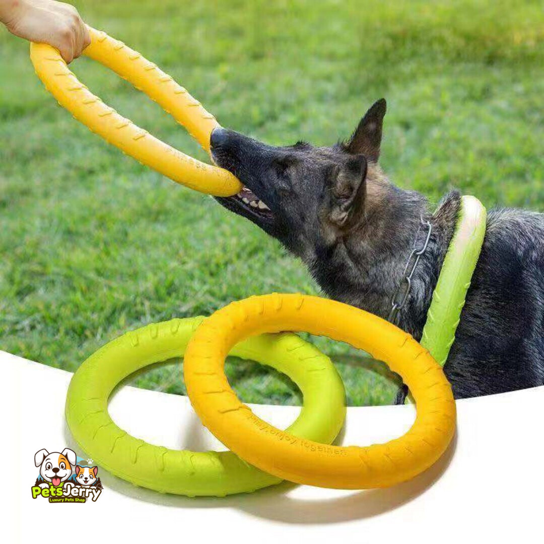 Dog playing fetch with a durable dog ring toy.