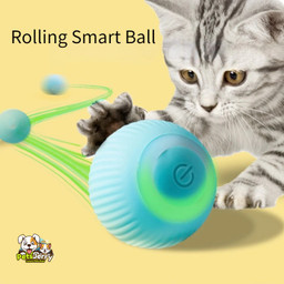 A playful cat chasing an interactive rolling ball toy.