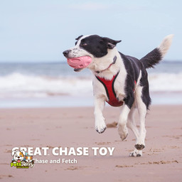 A happy dog playing with a squeaky rubber toy.