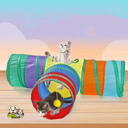 A playful cat explores a vibrant rainbow-colored tunnel, indulging its natural instincts for exploration, stalking, and napping.