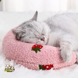 Dog Sleeping Pillow | Little Pillow for Cats