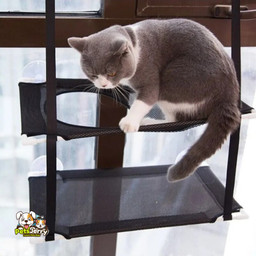 A playful cat climbing and lounging on a multi-level cat hammock playground