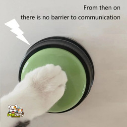 Talk to Your Dog with Communication Buttons: Breakthrough in Dog-Human Bonding