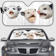 Possum Car Sunshade