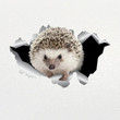 car sticker hedgehog pet animal vinyl decal car accessories pvc waterproof sunscreen 15cm