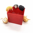 3PCS Japan Capsule Toys Mini Hedgehog Model Figures Cute Pets Gashapon Desktop Kids Toy