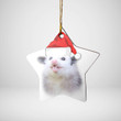Possum Ornament & Christmas