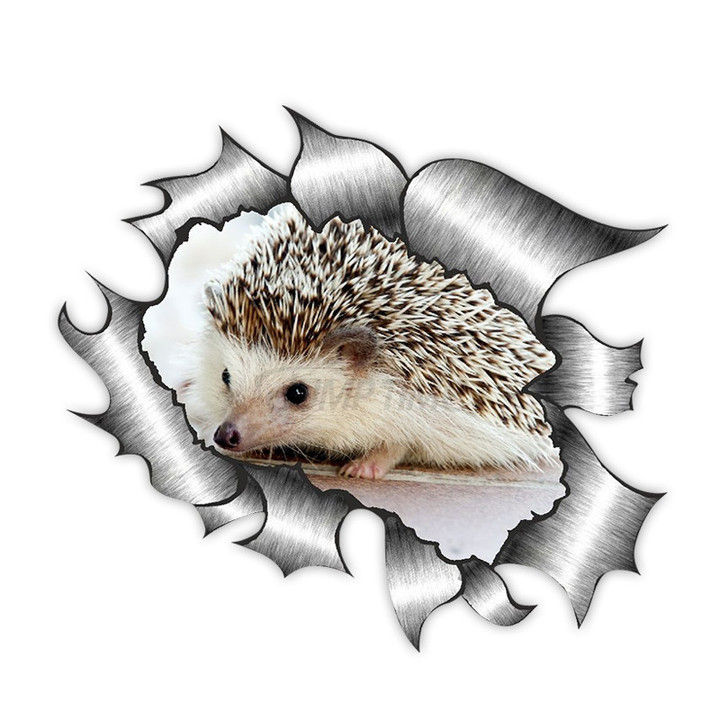 13*13cm 1 Pcs Creative Ripped Metal Design with Cute Hedgehog Car Sticker Accessories Motorcycle Waterproof Car Window Decal