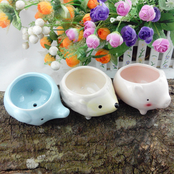 Ceramic Cartoon Hedgehog Pig Elephant With Bottom Hole Succulent Flower Pot
