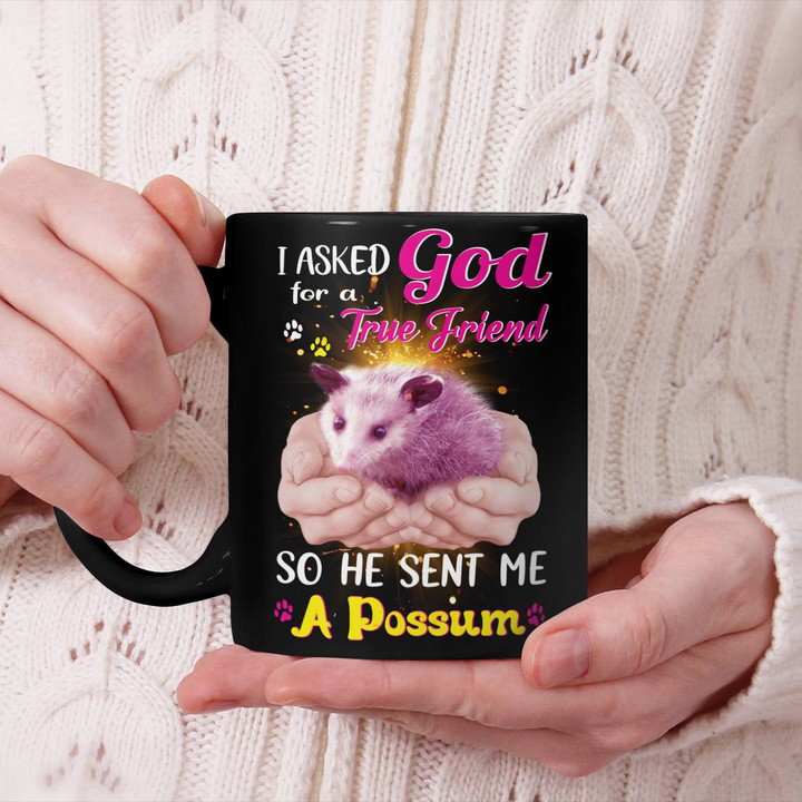I Asked god for a / Possum Mug
