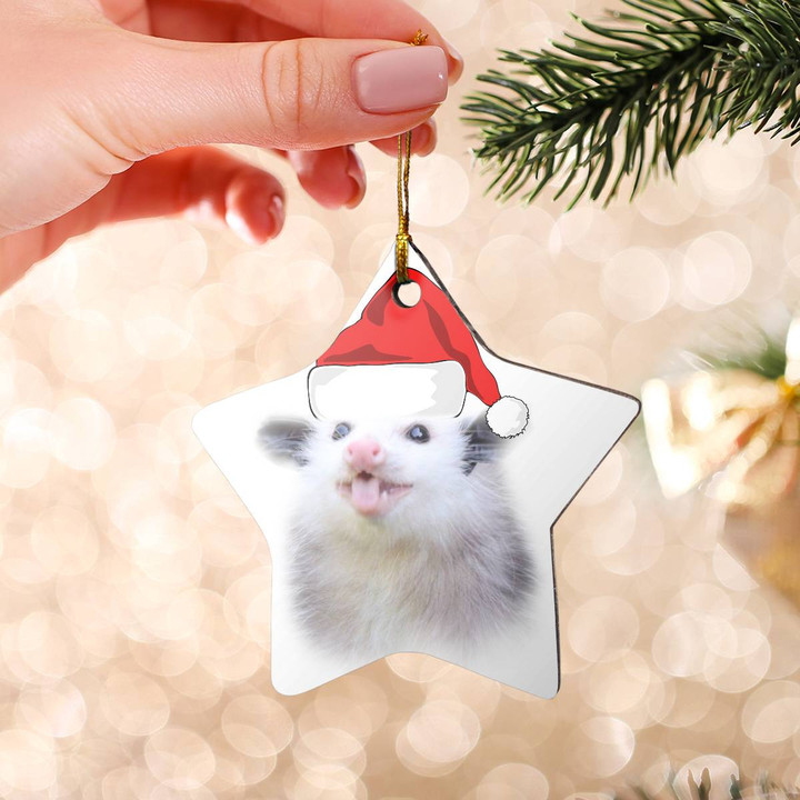 Possum Ornament & Christmas