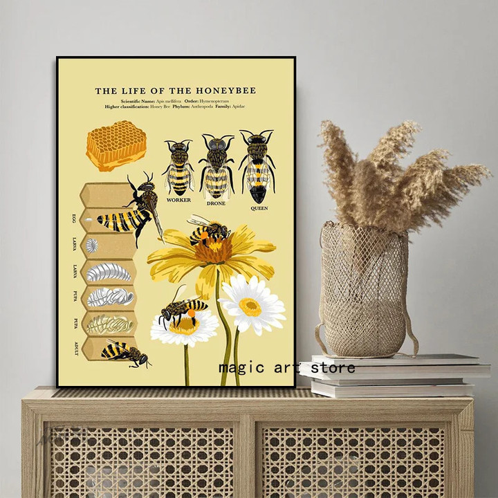 Vintage Ancient The Life of The Honey Bee Natural Insects Biology Art Poster