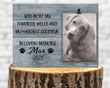 Pet Loss Gifts, Personalized Pet Memorial Frame, dog costume, Dog Loss Gift, dog portrait Pet Sympathy Gift, Pet Loss Frame, dog memorial