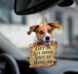 Jack Russell Terrier Christmas ornament, Get In Jack Russell Terrier Lovers Two Sided Ornament