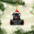 Black Pug Personal Stalker Christmas Ornament, Dog Christmas shape acrylic ornament, gift for Dog lover