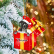 Custom name Pitbull In Red Gift Box Christmas Ornament Made by Acrylic
