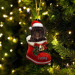 Custom Spanish Water In Santa Boot Christmas Ornament, Personalized Dog Flat Acrylic Ornament
