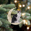 American Wirehair Sits On The Moon Christmas Ornament, Cat Christmas ornament, Christmas gift for cat lover