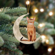 Abyssinian Cat Sits On The Moon Christmas Ornament, Cat Christmas ornament, Christmas gift for cat lover