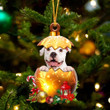 Pitbull In Golden Egg Christmas Ornament, Pitbull Christmas Shape ornament