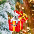 Custom name Dogo Argentino In Red Gift Box Christmas Ornament Made by Acrylic