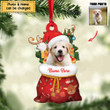 Personalized Pet Photo Santa Sack Christmas Ornament, Christmas gift for Dog lover
