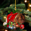 Dogue De Bordeaux Sleeping moon In Hat Two Sided Ornament, Dog custom shaped acrylic ornament